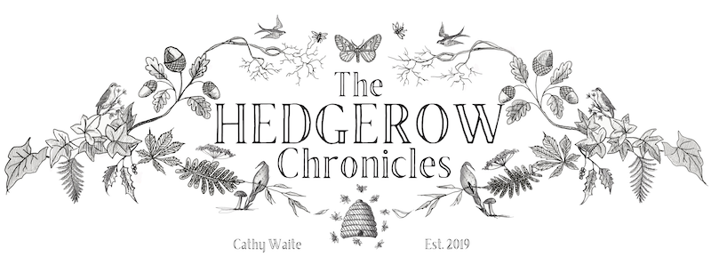 The Hedgerow Chronicles